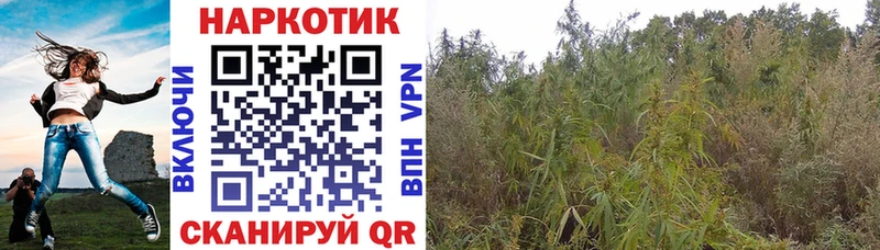 Купить наркоту Саки Гашиш  Каннабис  A PVP  Амфетамин  МЕФ 