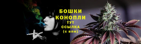 соль ск Рославль