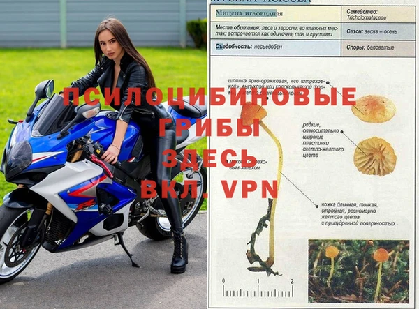 jwh Приозерск