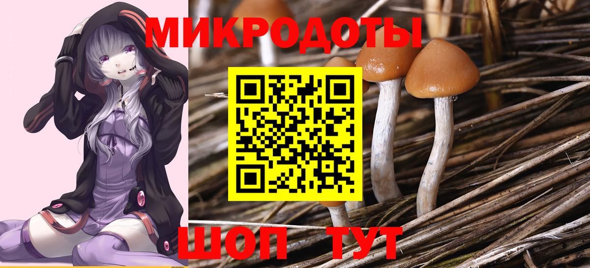 Псилоцибиновые грибы прущие грибы Саки