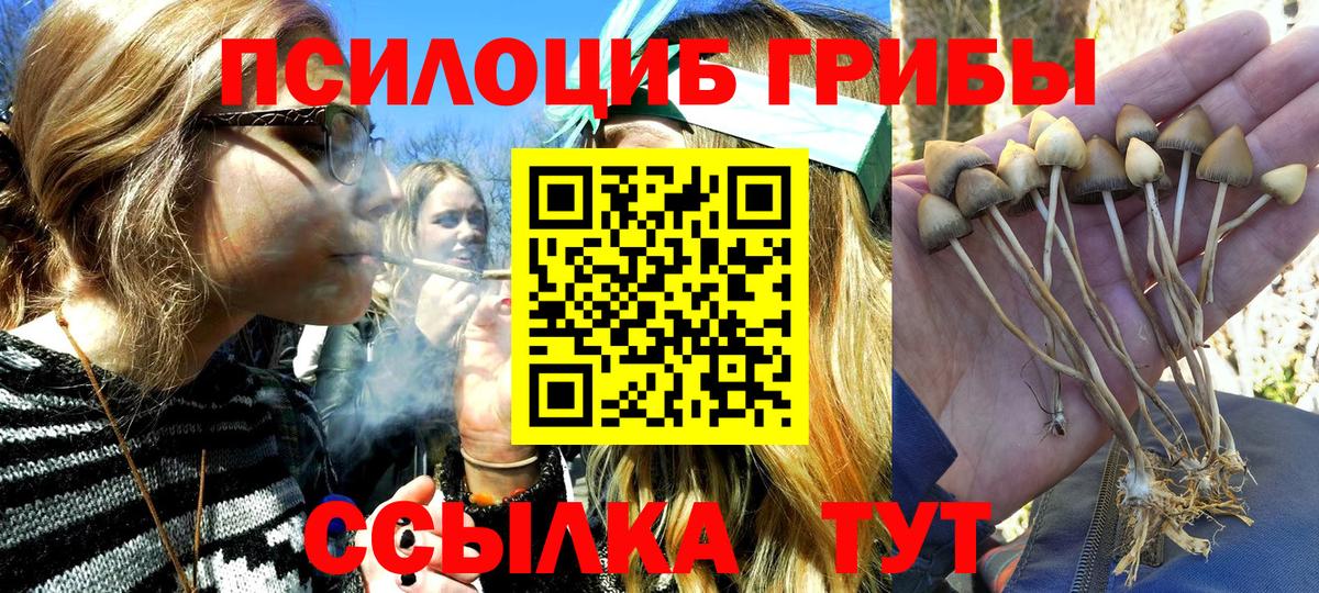 Галлюциногенные грибы GOLDEN TEACHER  Вход с VPN  Саки 
